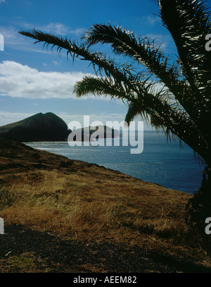 Landschaft der Landzunge Ponta de Sao Lourenco Madeira Portugal Europe. Foto: Willy Matheisl Stockfoto