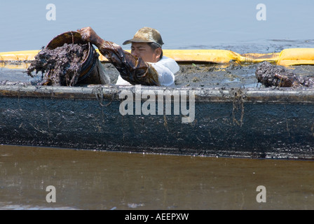 PEMEX Leiharbeiter versuchen, Land an der Stelle von einem Crude Oil Spill im Feld Cinco Presidentes, Tabasco, Mexiko zurückzufordern Stockfoto