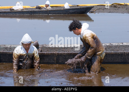 PEMEX Leiharbeiter versuchen, Land an der Stelle von einem Crude Oil Spill im Feld Cinco Presidentes, Tabasco, Mexiko zurückzufordern Stockfoto