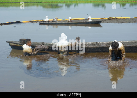 PEMEX Leiharbeiter versuchen, Land an der Stelle von einem Crude Oil Spill im Feld Cinco Presidentes, Tabasco, Mexiko zurückzufordern Stockfoto