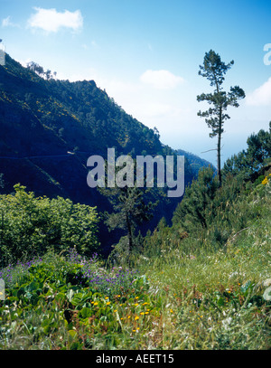 Landschaft am Curral Das Freiras Madeira Portugal Europa. Foto: Willy Matheisl Stockfoto