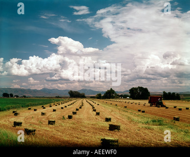 Heuballen-Linie eine Hof-Feld an einem spektakulären Sommertag in östlichen Idaho Stockfoto