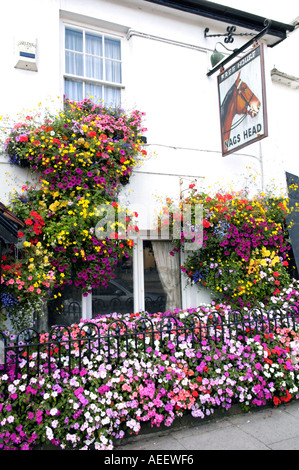 Blütenpracht vor Nags Head Pub in Usk, konkurriert die Stadt jährlich in Wales und England in Bloom Wettbewerbe Stockfoto