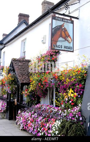 Blütenpracht vor Nags Head Pub in Usk, konkurriert die Stadt jährlich in Wales und England in Bloom Wettbewerbe Stockfoto