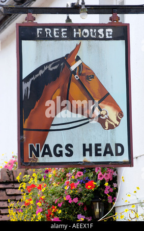 Blütenpracht vor Nags Head Pub in Usk, konkurriert die Stadt jährlich in Wales und England in Bloom Wettbewerbe Stockfoto