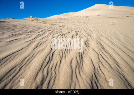 Sand Wellen Eureka Sanddünen im Death Valley Nationalpark, Kalifornien, USA. Stockfoto