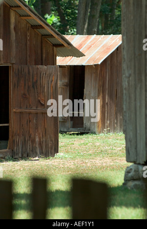 altes Holz Schuppen Gebäude Blechdächern Dudley Bauernhof Historic State Park, Florida Stockfoto