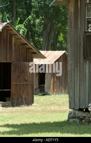 altes Holz Schuppen Gebäude Blechdächern Dudley Bauernhof Historic State Park, Florida Stockfoto