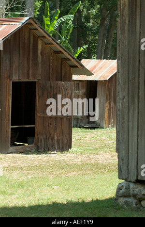 altes Holz Schuppen Gebäude Blechdächern Dudley Bauernhof Historic State Park, Florida Stockfoto