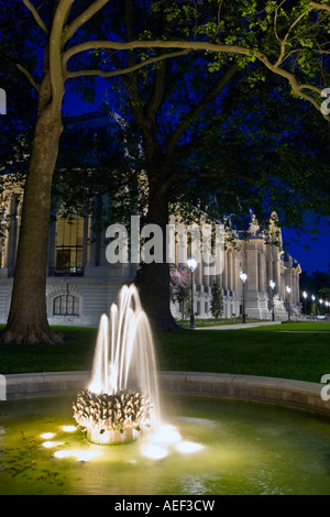 Petit Palais, Paris, Frankreich und beleuchteten Brunnen Stockfoto