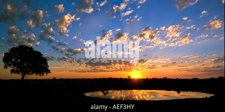 Zwei Bild Stich Panorama Sonnenuntergang über den Serengeti Nationalpark und spiegelt sich in einem Wasserloch. Stockfoto