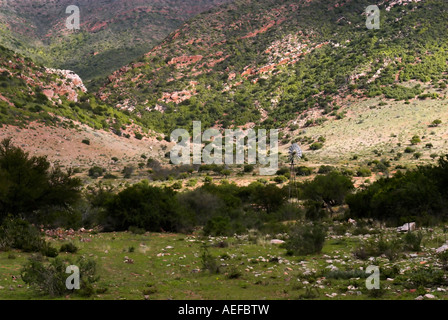 Felsen übersäten Tal in Südafrika Karoo Region Stockfoto