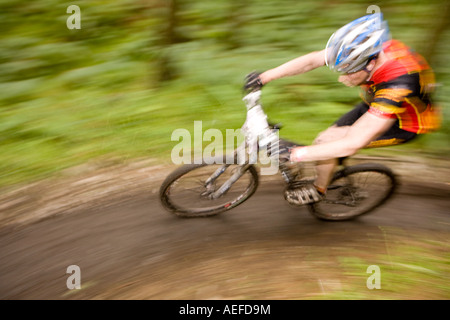 Mountian Bike Biker radeln durch Track am Kirroughtree Wald Teil des 7stanes Scotland UK Stockfoto