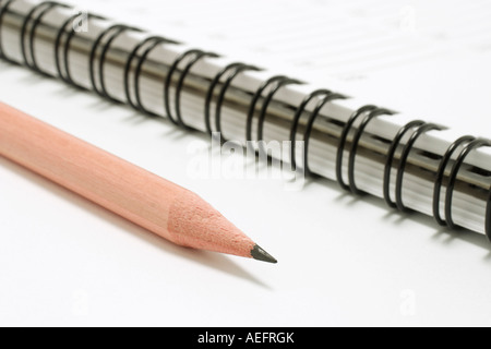 Bleistift auf Pocket-Planer Stockfoto