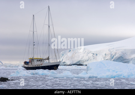 Stahlsegelboot Golden Fleece in Gletschergewässern entlang der westlichen antarktischen Halbinsel Antarktis Südpolarmeer Stockfoto