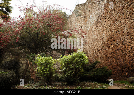 Gräser und Pflanzen außen Stadtmauer in alten mittelalterlichen Mauern umgebene Stadt Dinan Bretagne Frankreich Europa Stockfoto