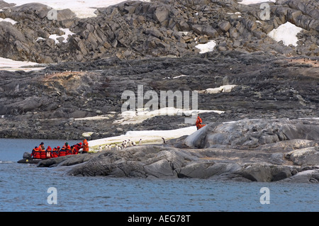 Touristen kommen bei einem Gentoo Penguin Pygoscelis Papua Kolonie von Zodiac westlichen Antarktischen Halbinsel Antarktis Southern Ocean Stockfoto