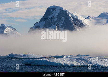 Adelie-Pinguine Pygoscelis Adeliae auf Gletschereis entlang der westlichen Antarktischen Halbinsel Antarktis Southern Ocean Stockfoto