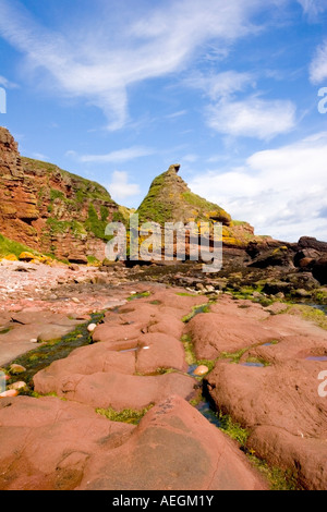 Felsen am Auchmithie.Scotland August 2007 Stockfoto