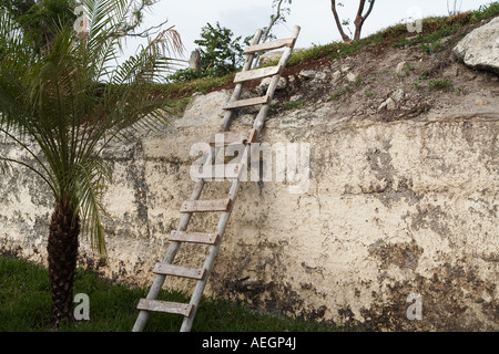 Holzleiter führt über Steinmauer in Quintana Roo, Cozumel, Mexiko Stockfoto