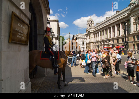 Horizontalen Weitwinkel von ein weibliches Mitglied der Household Cavalry auf Horse Guards Parade in Whitehall umgeben von Touristen. Stockfoto