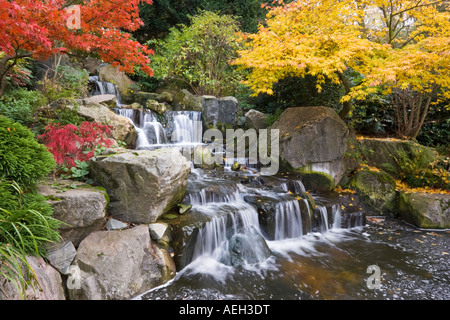 Kyoto Garden japanischen Stil Garten Holland Park Kensington London Stockfoto