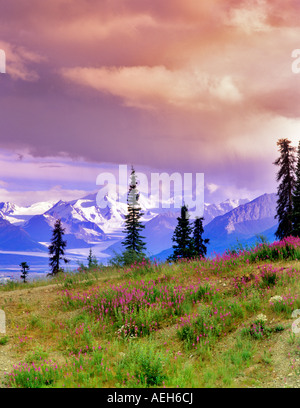 Mt Sanford und Weidenröschen von Glenn Highway Alaska aus gesehen Stockfoto