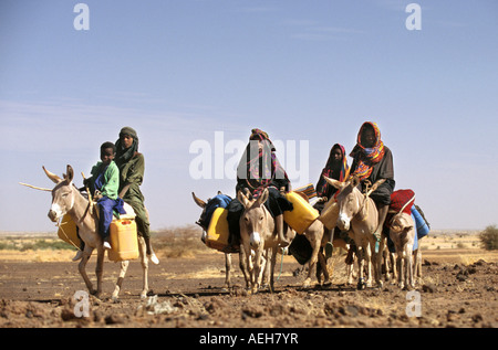 Mali Ansongo, Kinder der Peul-Stamm mit Wasser können auf Esel Stockfoto