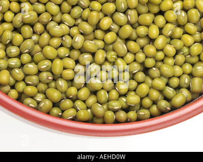 Schüssel mit gesunden vegetarischen getrocknet Mung Bohnen Bereit für Kochen gegen einen weißen Hintergrund mit keine Personen 0,81 einen Freistellungspfad Stockfoto