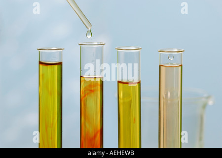 Pipette hinzufügen von flüssigen Probe um zu testen, Röhren, close-up Stockfoto