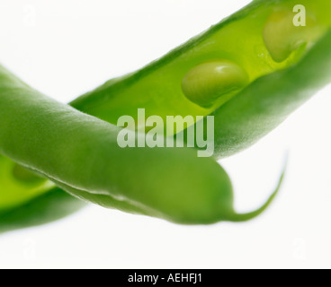 Grüne Bohnen, close-up Stockfoto