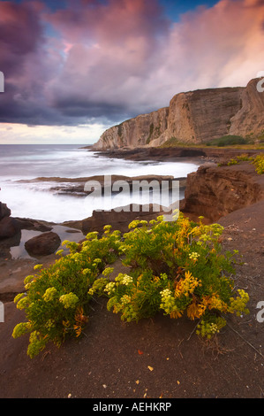 Küste am Tunel Boca Beach, Bizcay, Baskisches Land, Spanien. Costa De La Playa de Tunel Boca, Vizcaya Pais Vasco Vizcaya España Stockfoto
