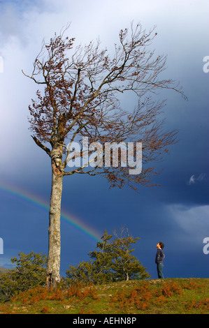 Arco Iris, Haya y Persona Quinto Real Kintoa Navarra España Regenbogen, Buche und Menschen Navarra-Spanien Stockfoto