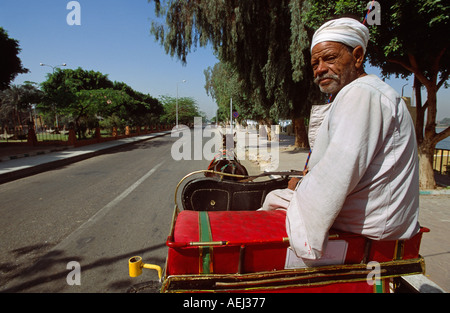 Alte ägyptische Treiber von einer Pferdekutsche Caleche an der Corniche von Nil, Luxor, Ägypten Stockfoto