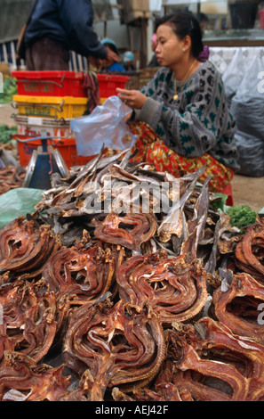 Getrockneter Fisch zum Verkauf an einen lokalen Markt in Tachileik, Birma Stockfoto