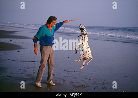 Reifen erwachsenen Mann Hundebesitzer tragen bunte Sweatshirt spielen mit jumping Sprünge springen hoch Dalmatiner hund Strand POV HERR Myrleen Pearson Stockfoto