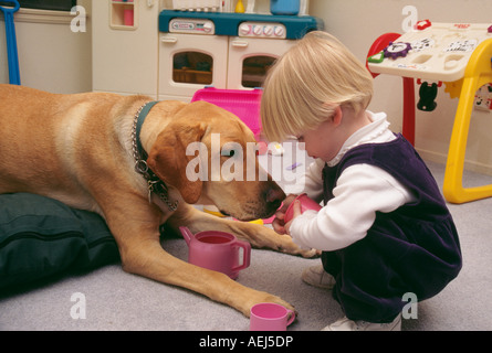18 Monate 2 Jahre alten Mädchen spielen Tea Party mit ihrem Golden Labrador Retriever Hund kind Spielen spielt Hund Profil Seitenansicht HERR © Myrleen Pearson Stockfoto