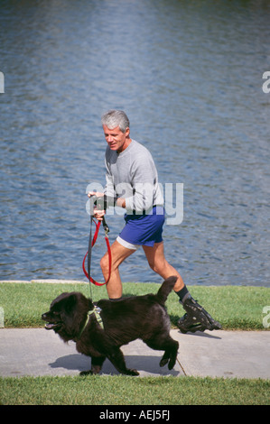 Reifer Mann 50-60 Jahre alte weiße Haare grau graues Sweatshirt Lächeln Lächeln Lächeln Spaß Haustier Rollerblading Hund POV USA Blauwasser Bürgersteig Stockfoto
