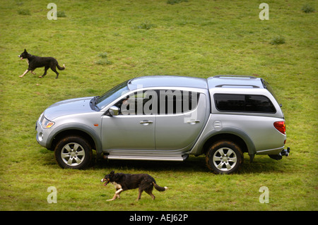 EIN SCHAFZÜCHTER FAHREN EINEN DOPPELKABINE PICKUP WÄHREND LÄMMER AUF EINE GLOUCESTERSHIRE FARM UK Stockfoto