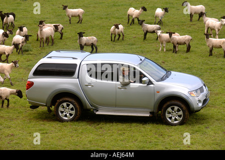 EIN SCHAFZÜCHTER FAHREN EINEN DOPPELKABINE PICKUP WÄHREND LÄMMER AUF EINE GLOUCESTERSHIRE FARM UK Stockfoto