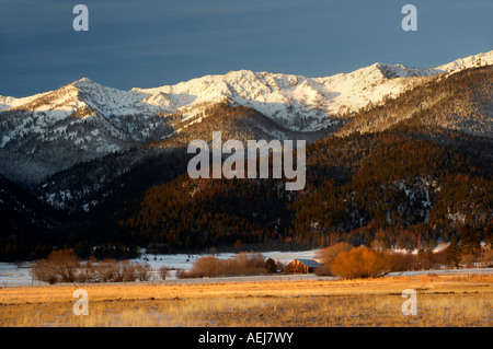 Verschneiten Weide und Elkhorn Palette Blue Mountains Oregon Stockfoto