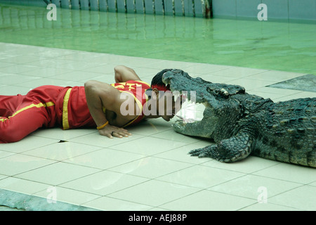 Krokodil-Show im Zoo von Phuket, Thailand Stockfoto