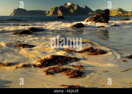 Flut, Mitternachtssonne, Flakstadoy, Lofoten, Norwegen, Skandinavien Stockfoto