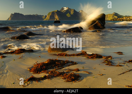 Flut, Mitternachtssonne, Flakstadoy, Lofoten, Norwegen, Skandinavien Stockfoto