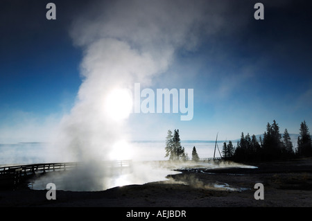 Brechen der Morgendämmerung am Ufer des Yellowstone Lake, Yellowstone-Nationalpark, Wyoming, USA, Vereinigte Staaten von Amerika Stockfoto