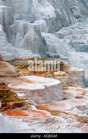 Mammoth Hot Springs, Yellowstone Nationalpark, Wyoming, USA, Vereinigte Staaten von Amerika Stockfoto