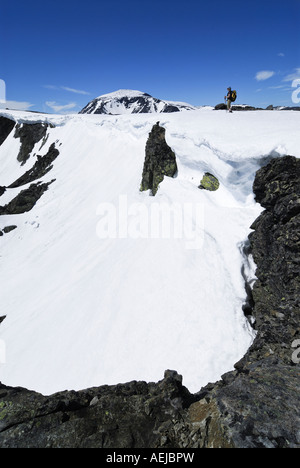 Berglandschaft, Jotunheimen Nationalpark, Vaga, Norwegen Stockfoto