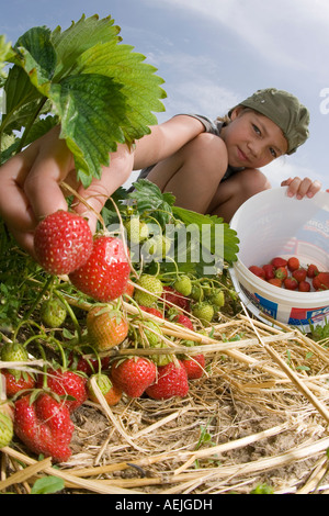 Erdbeeren pflücken. Junges Mädchen nimmt Erdbeeren, Hessen, Deutschland. Stockfoto