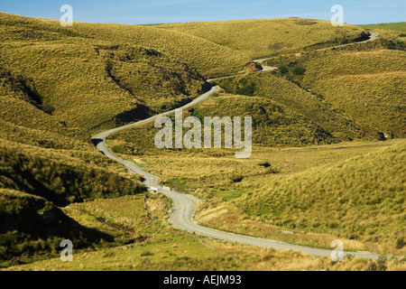 Straße durch Grasbüscheln in der Nähe von Lake Mahinerangi Otago Neuseeland Südinsel Stockfoto