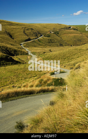 Straße durch Grasbüscheln in der Nähe von Lake Mahinerangi Otago Neuseeland Südinsel Stockfoto